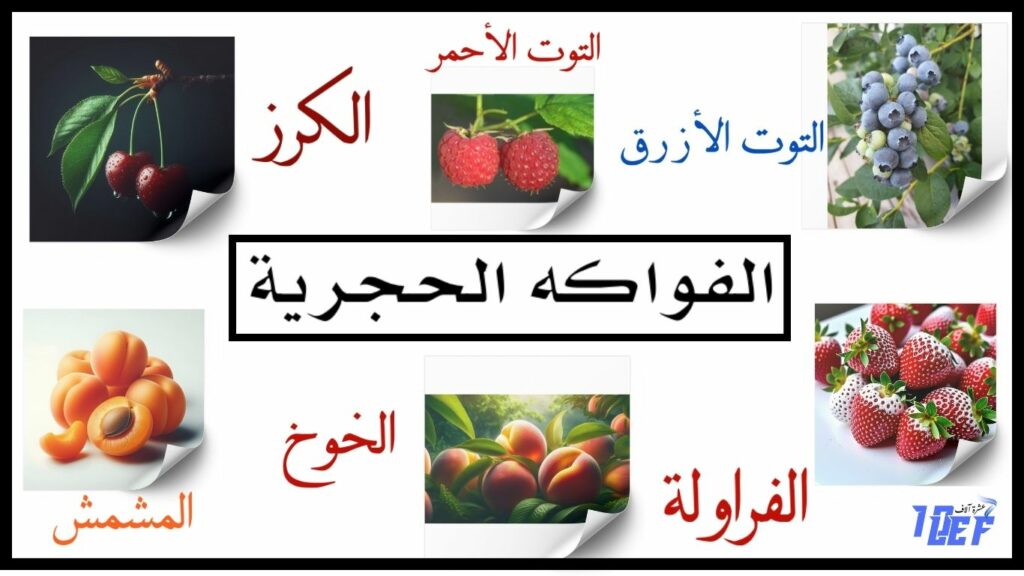 فوائد الفاكهة للجسم
الفواكه الحجرية
