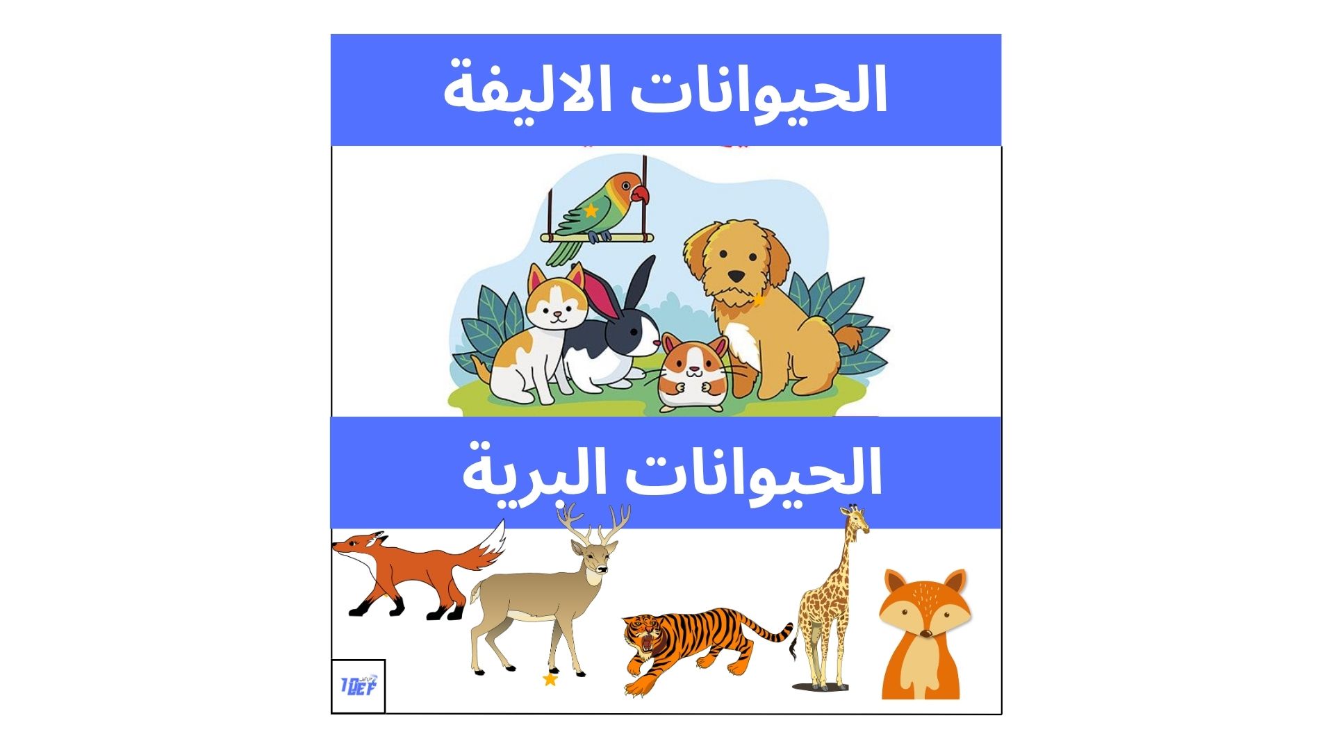 الحيوانات الاليفة والبرية