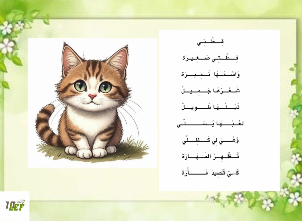 انشودة قطتي الصغيرة
