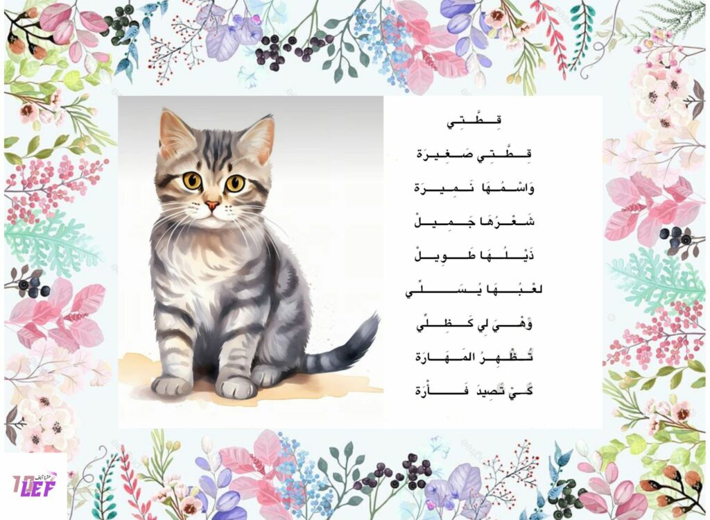 انشودة قطتي الصغيرة