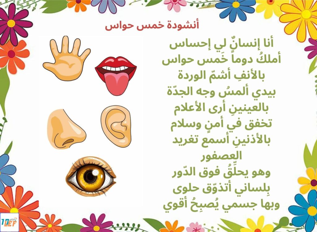 أنشودة خمس حواس