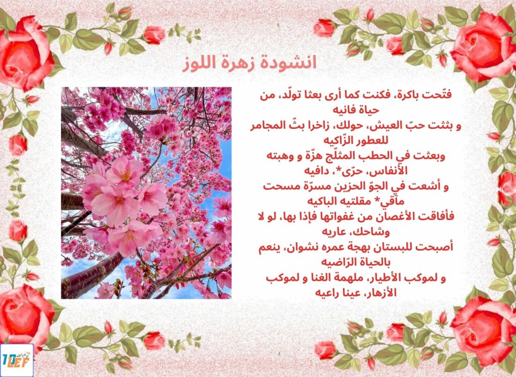 انشودة زهرة اللوز