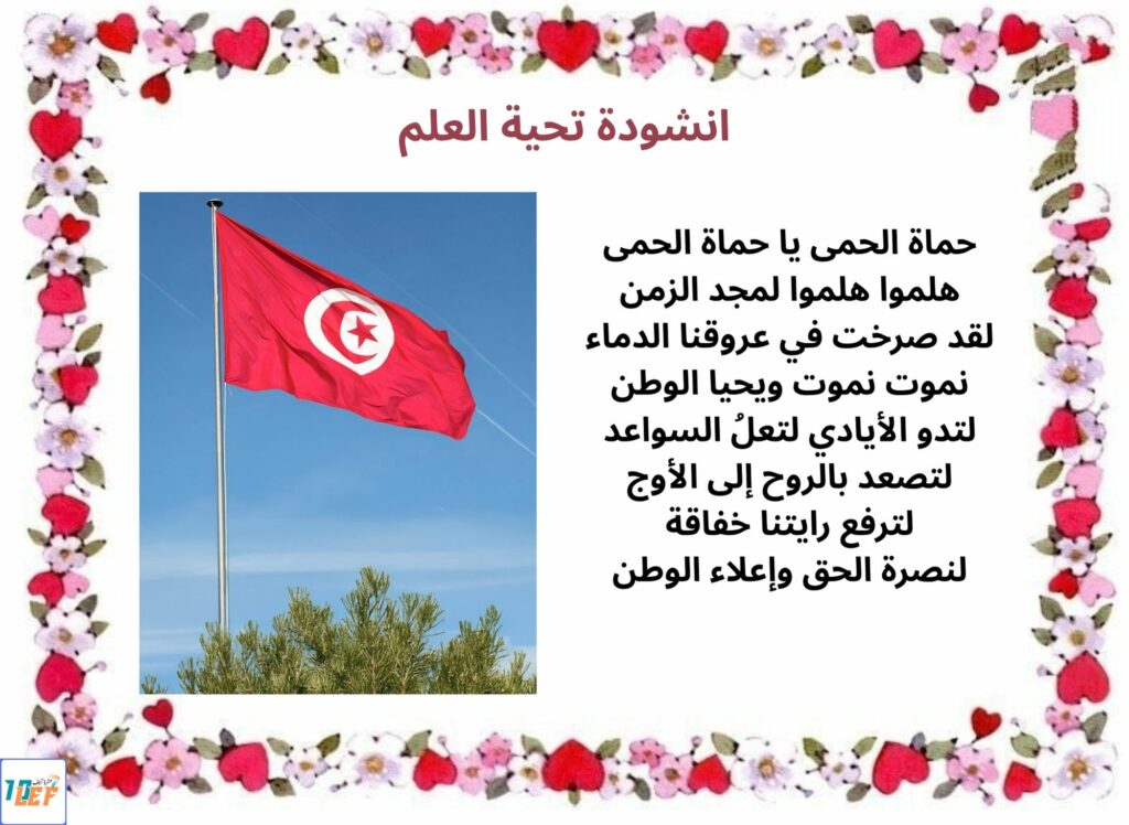انشودة تحية العلم