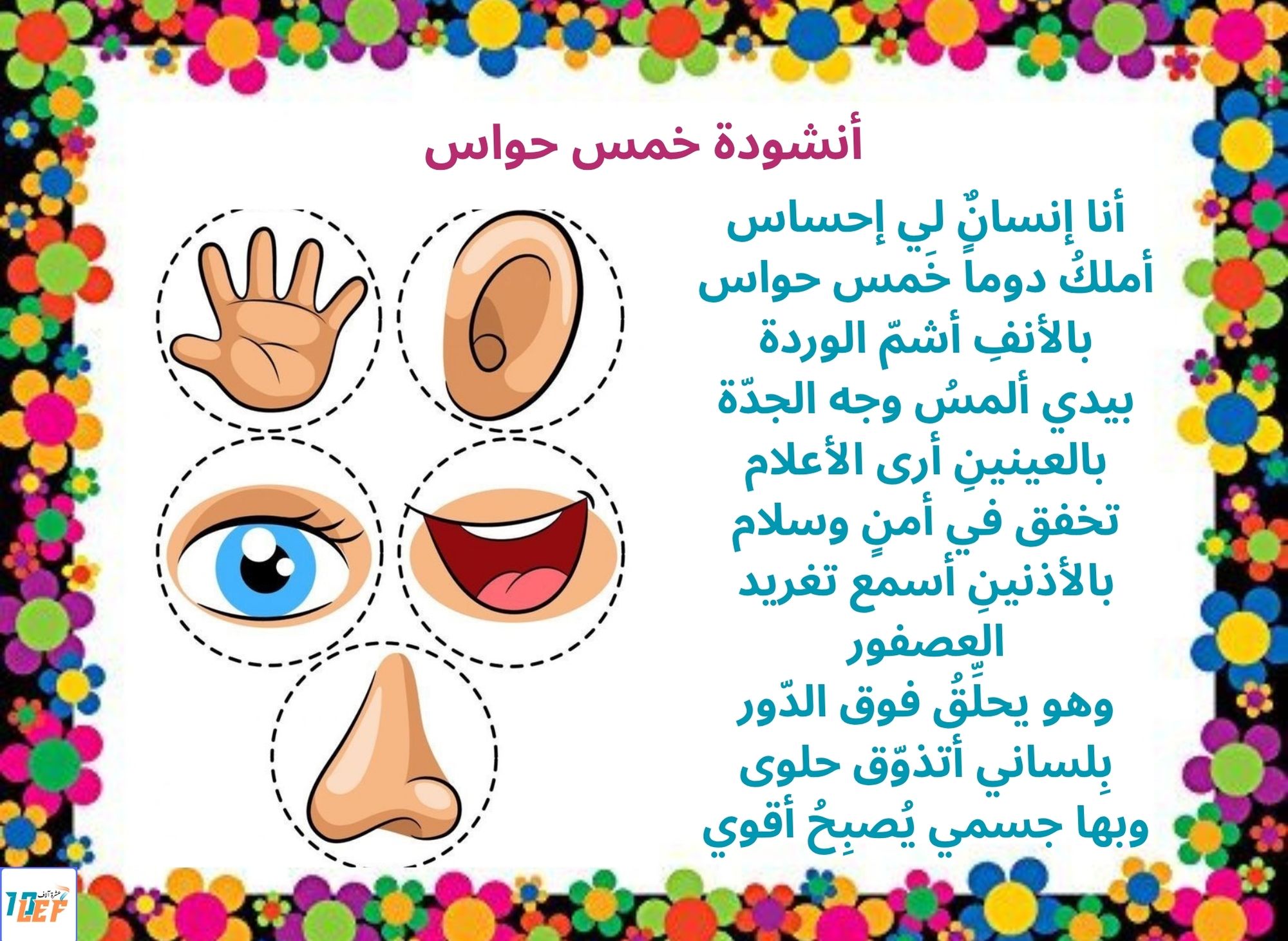 أنشودة خمس حواس