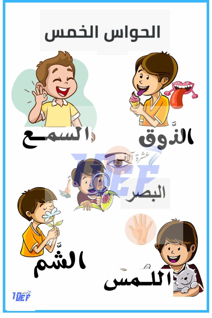 بحث حول الحواس الخمس