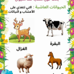 بحث حول التغذية عند الحيوان سنة اولى ابتدائي
