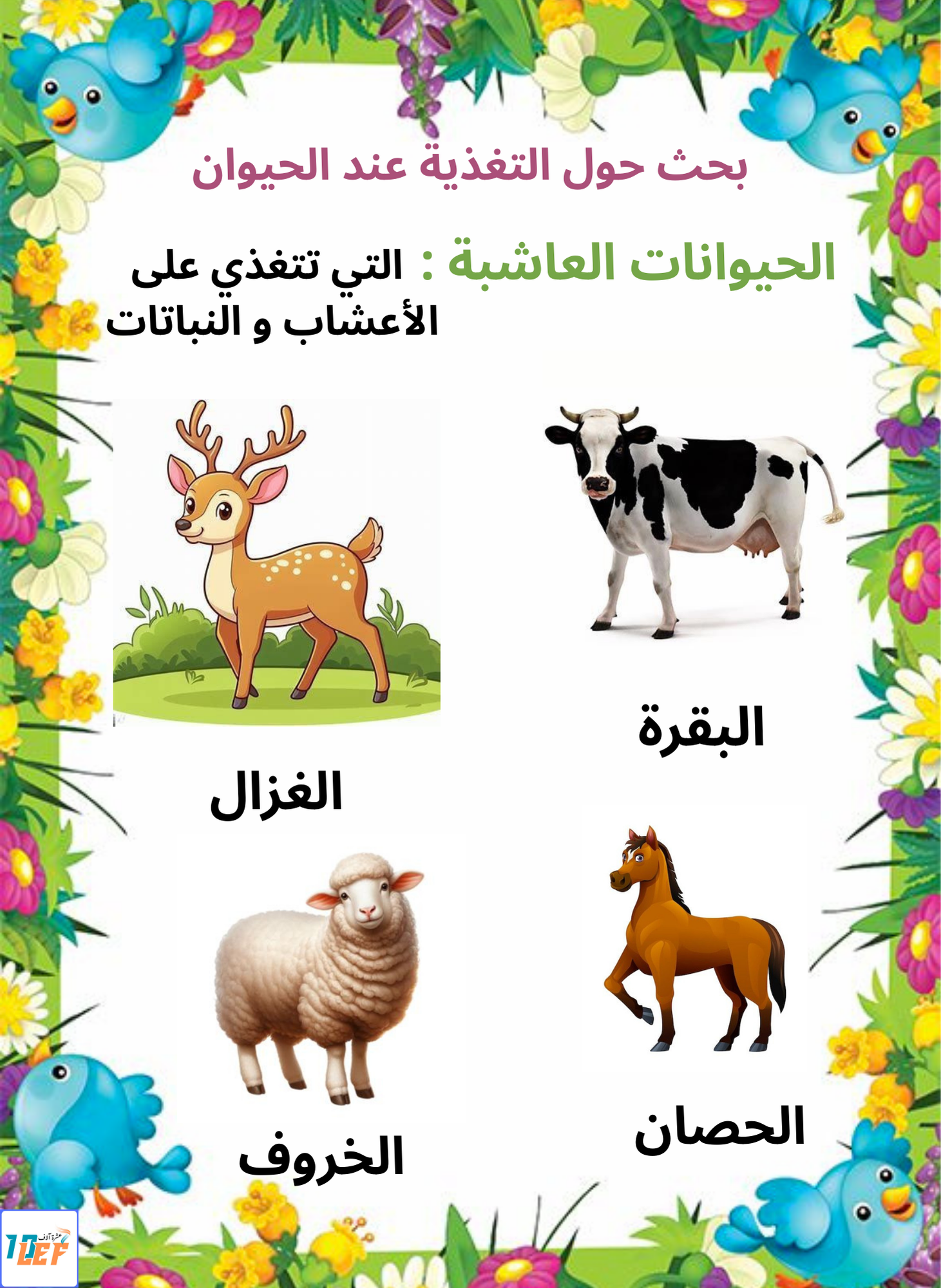بحث حول التغذية عند الحيوان سنة اولى ابتدائي