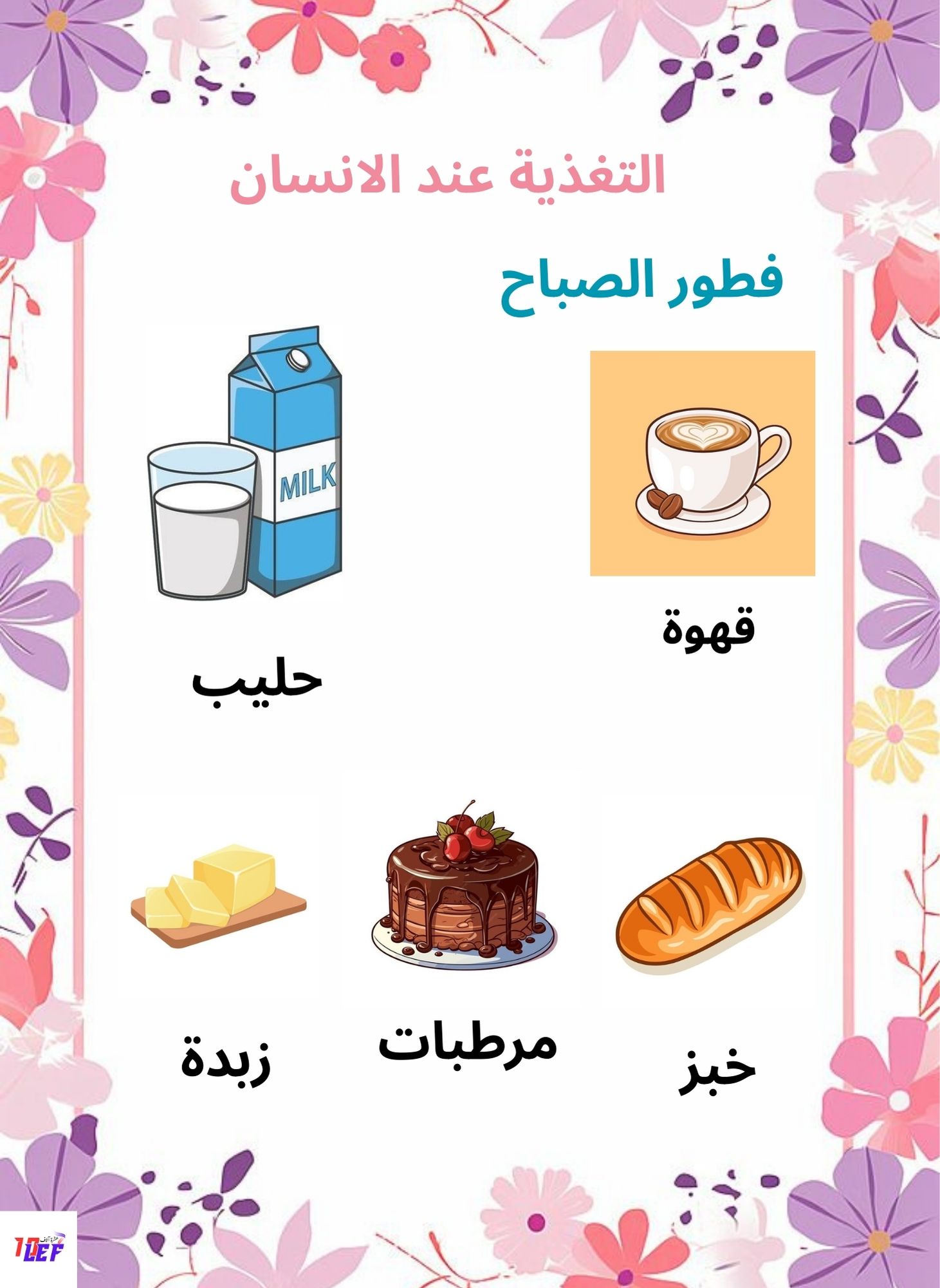 بحث حول التغذية عند الإنسان سنة أولى ابتدائي