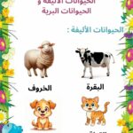 بحث حول الحيوانات سنة أولى ابتدائي