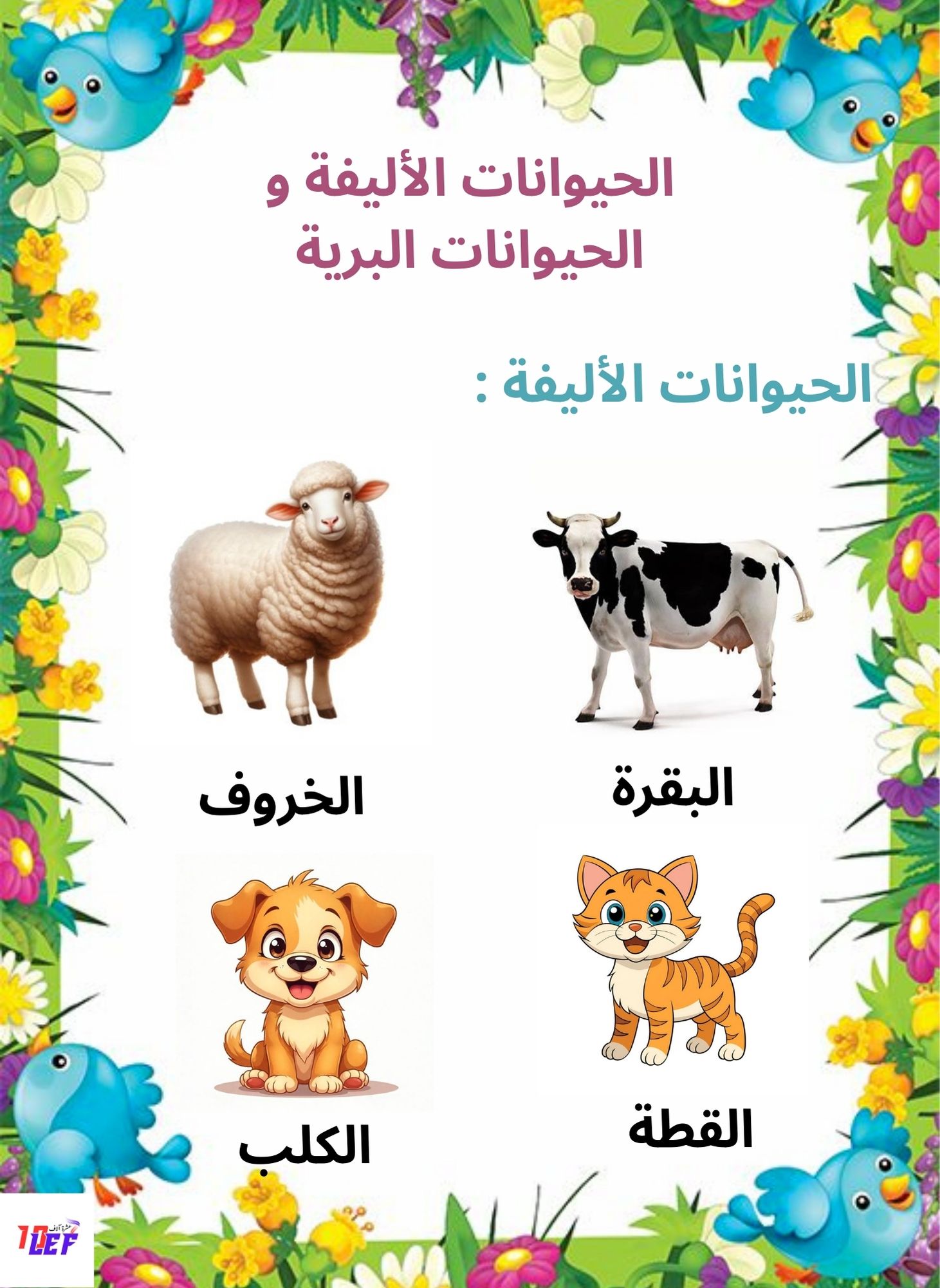 بحث حول الحيوانات سنة أولى ابتدائي