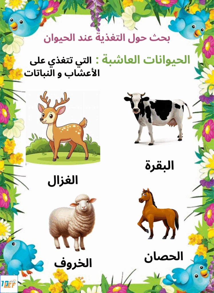 بحث حول التغذية عند الحيوان سنة اولى ابتدائي