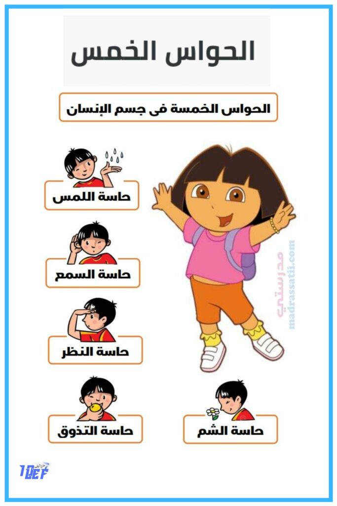  الحواس الخمس 1