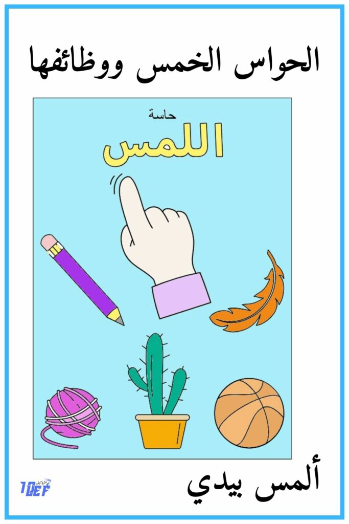 11 ألمس بيدي