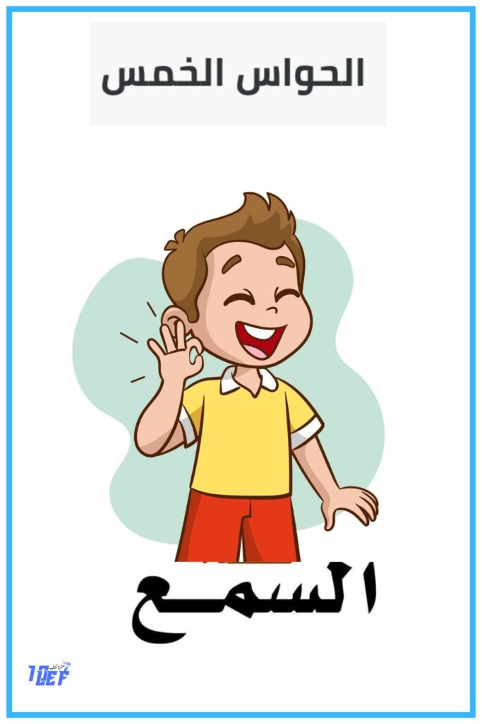   الحواس الخمسة سنة اولى حاسة السمع