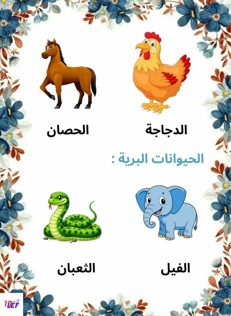 بحث حول الحيوانات سنة أولى ابتدائي