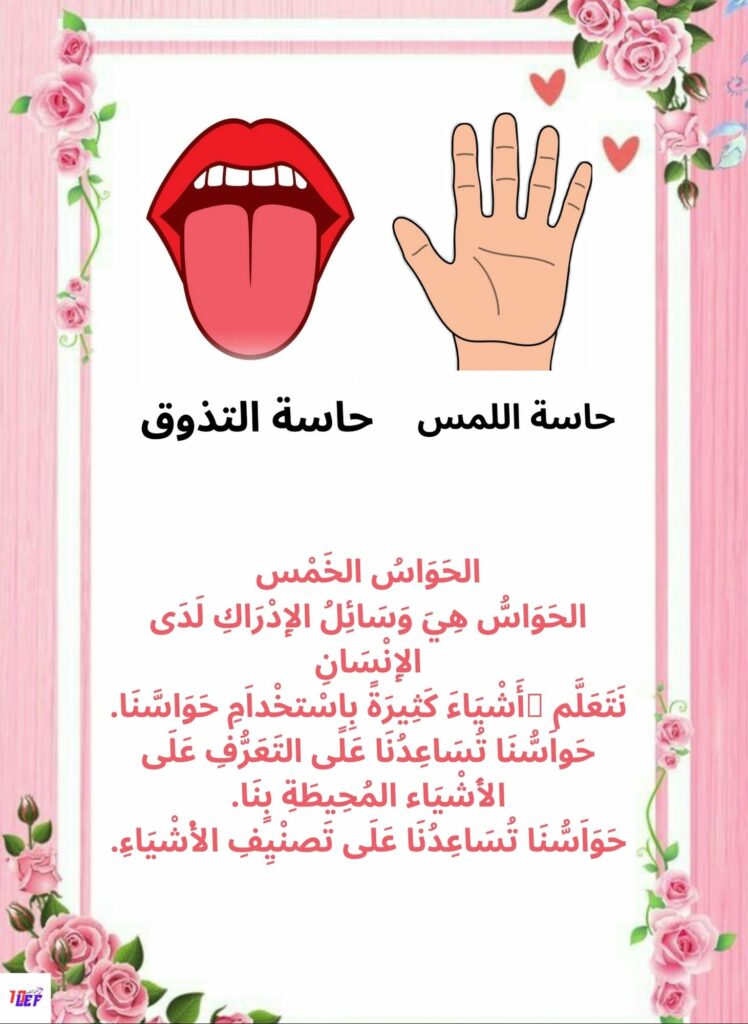 بحث حول الحواس الخمس سنة اولى ابتدائي