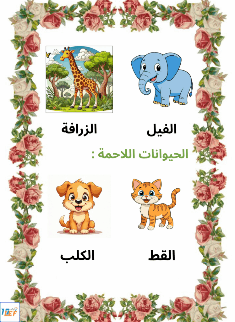 بحث حول التغذية عند الحيوان سنة اولى ابتدائي
