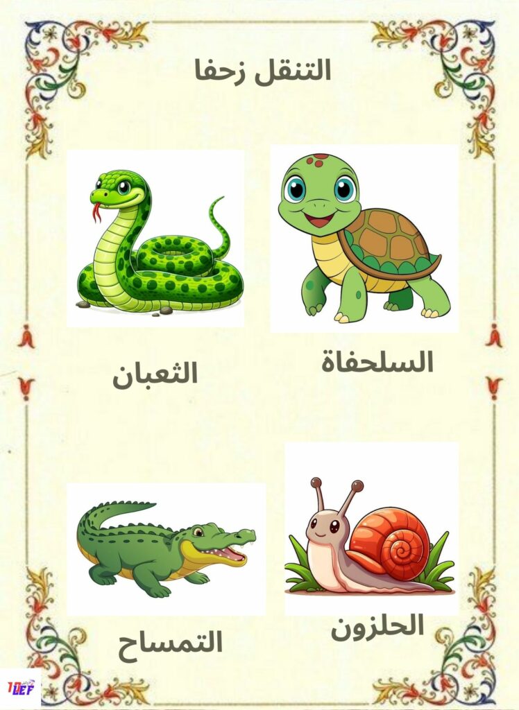 بحث حول تنقل الحيوانات سنة اولى ابتدائي