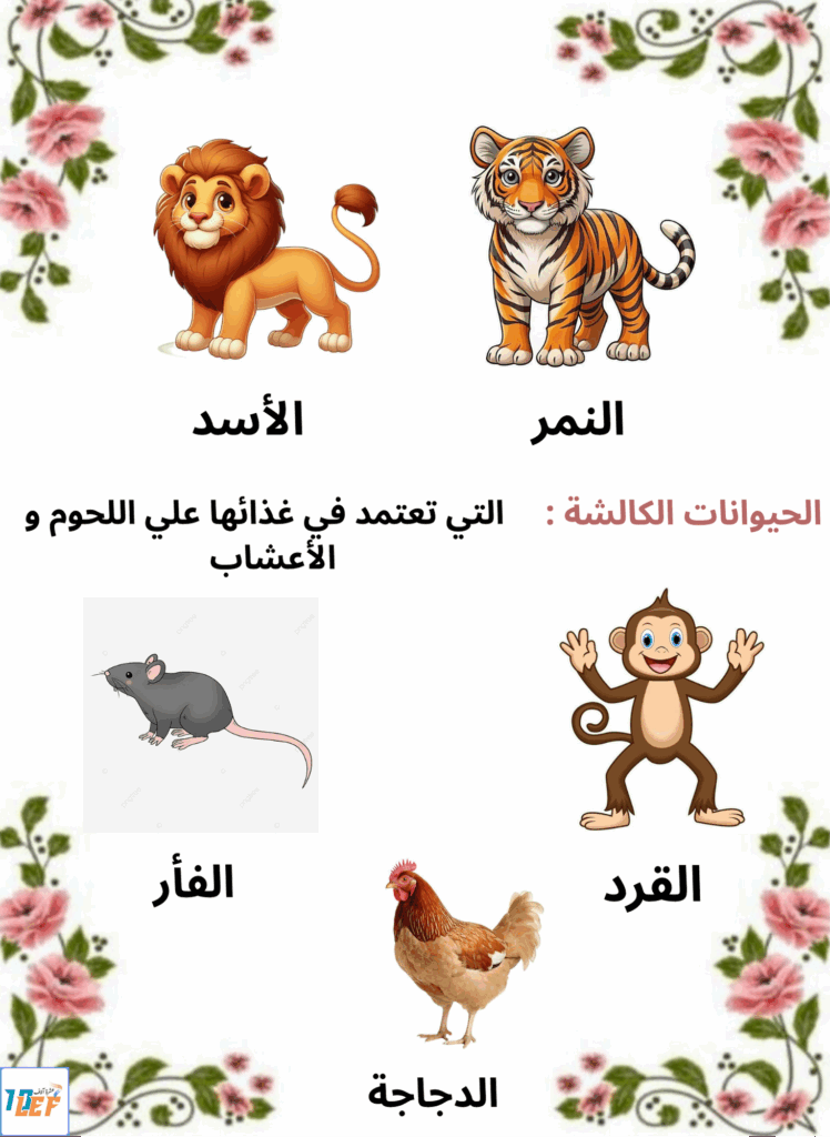 بحث حول التغذية عند الحيوان سنة اولى ابتدائي