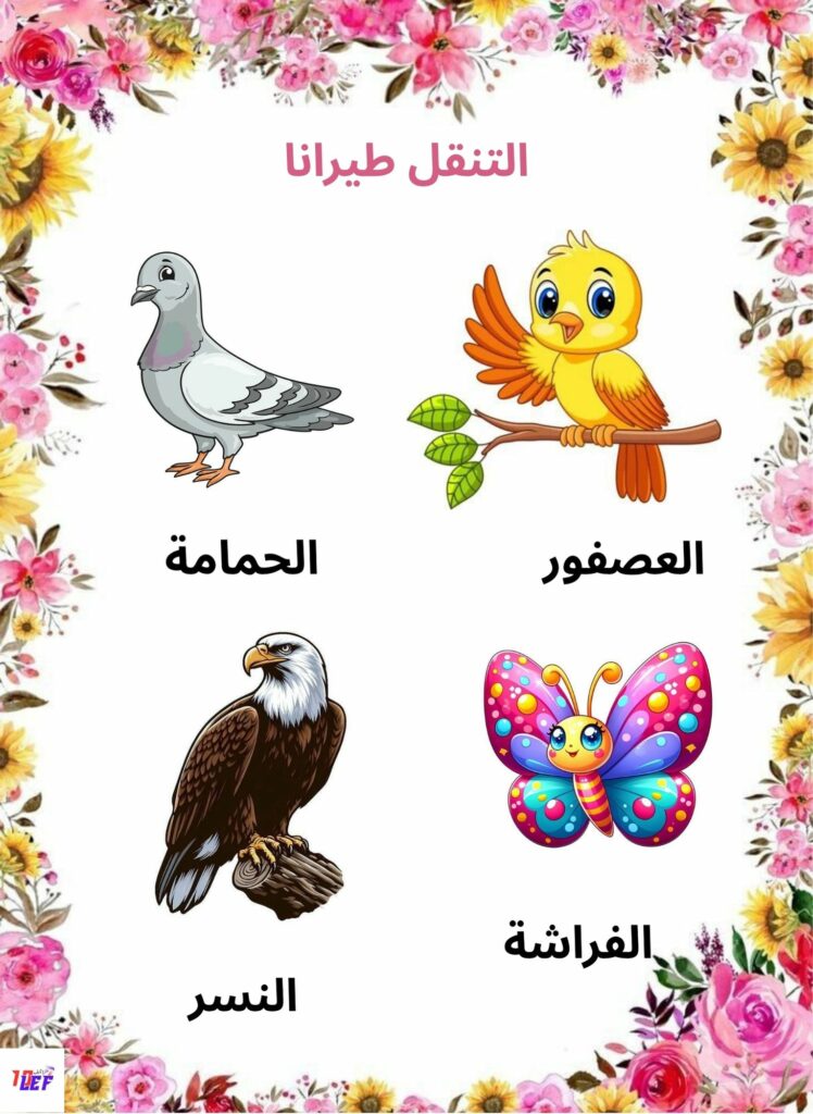 بحث حول تنقل الحيوانات سنة اولى ابتدائي