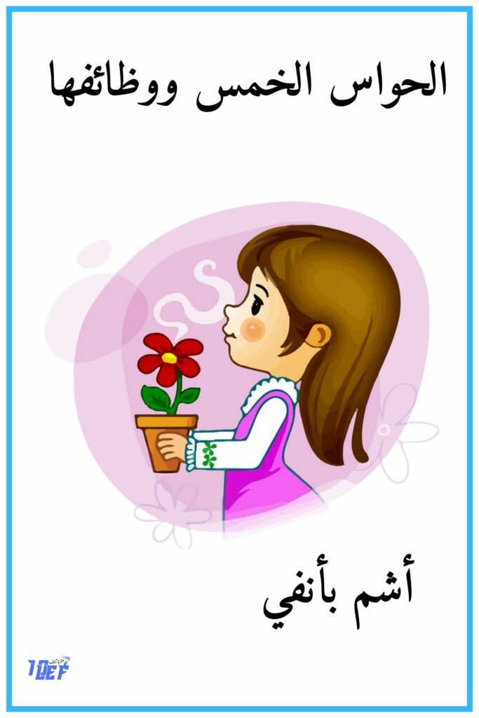 6 أشم بأنفي