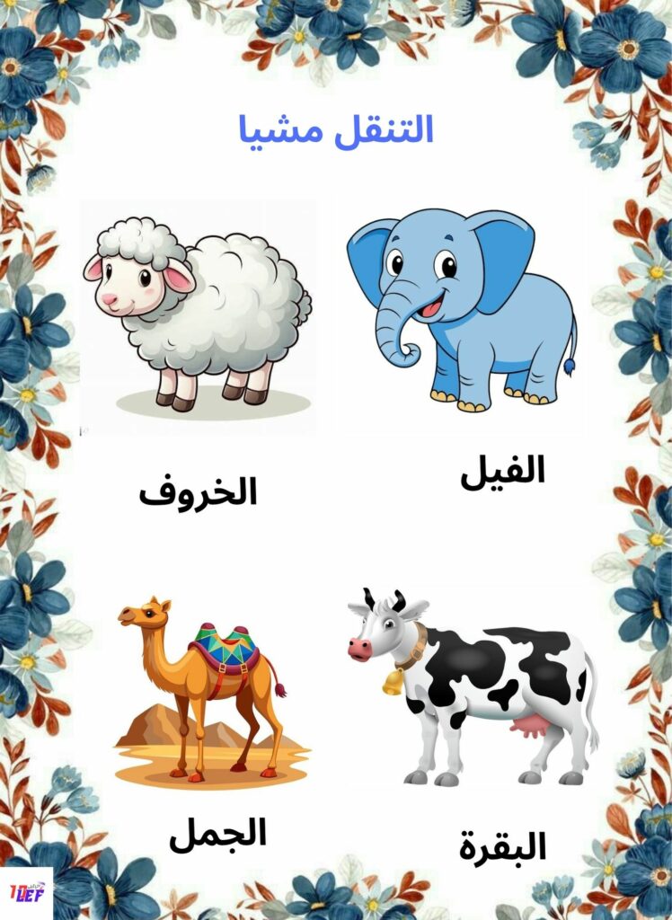 بحث حول تنقل الحيوانات سنة اولى ابتدائي