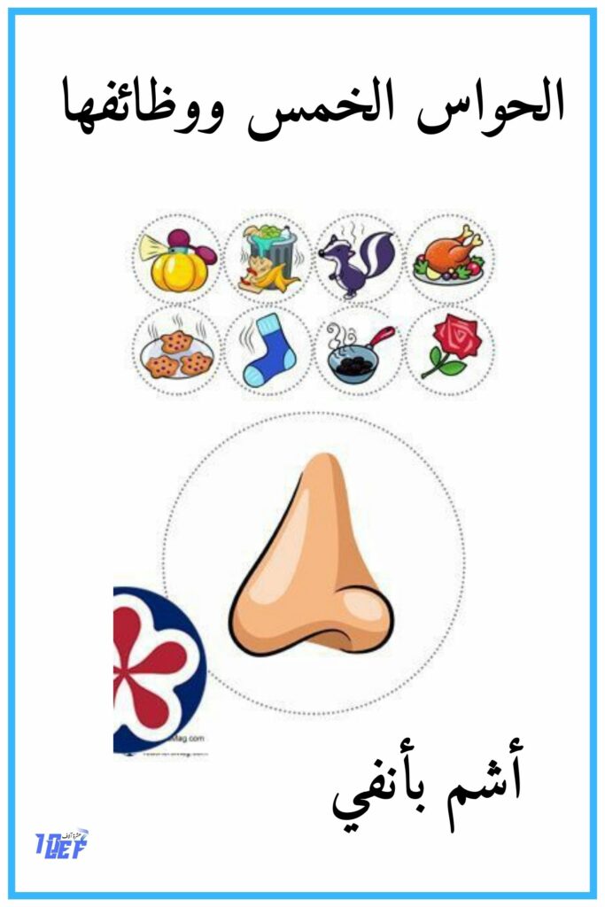 7 أشم بأنفي