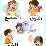 بحث حول الحواس الخمس