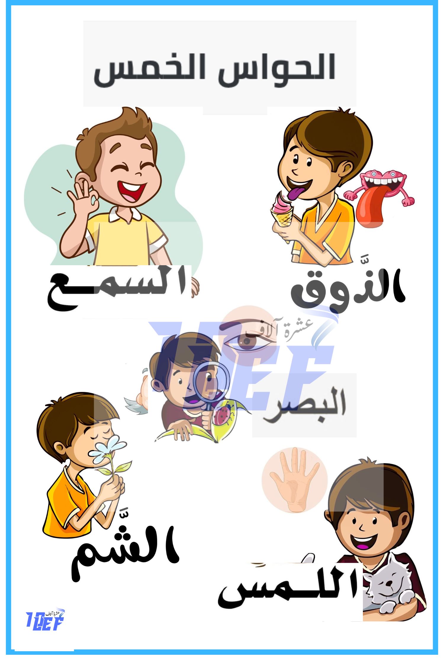 بحث حول الحواس الخمس