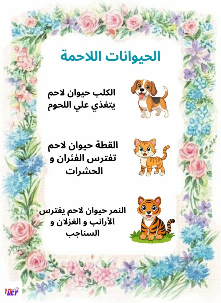 بحث حول التغذية عند الحيوان سنة أولى
