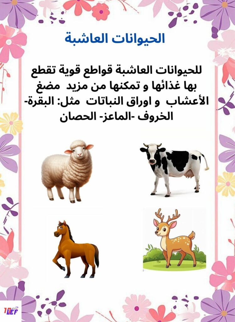 التغذية عند الحيوان للسنة الاولى