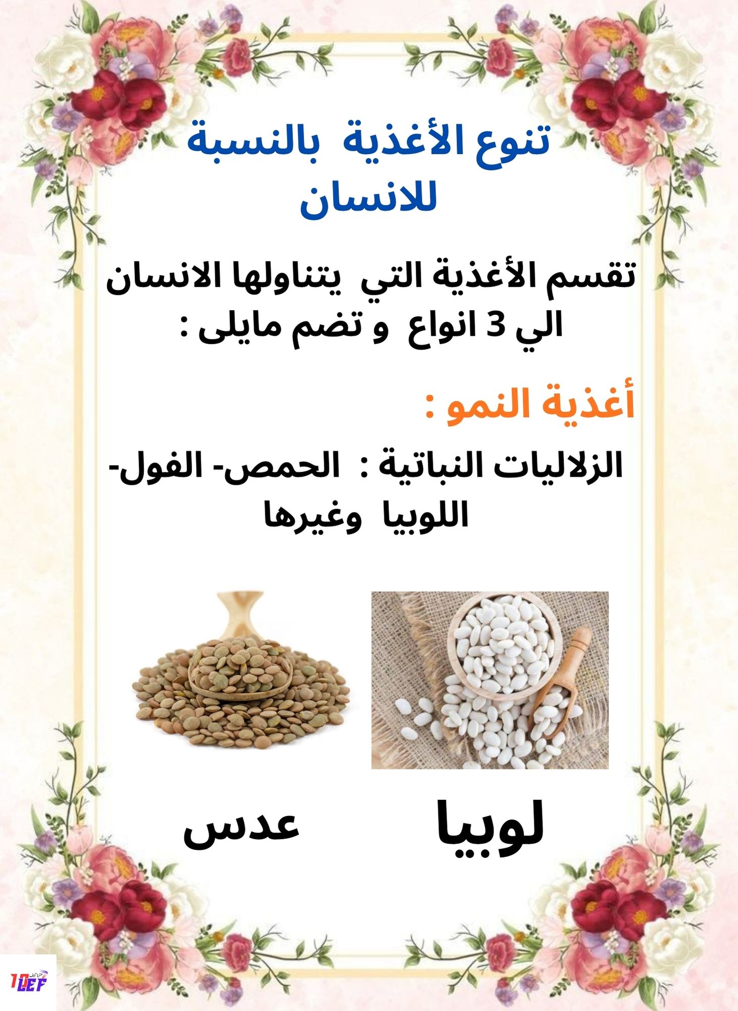 بحث حول التغذية عند الإنسان سنة ثالثة