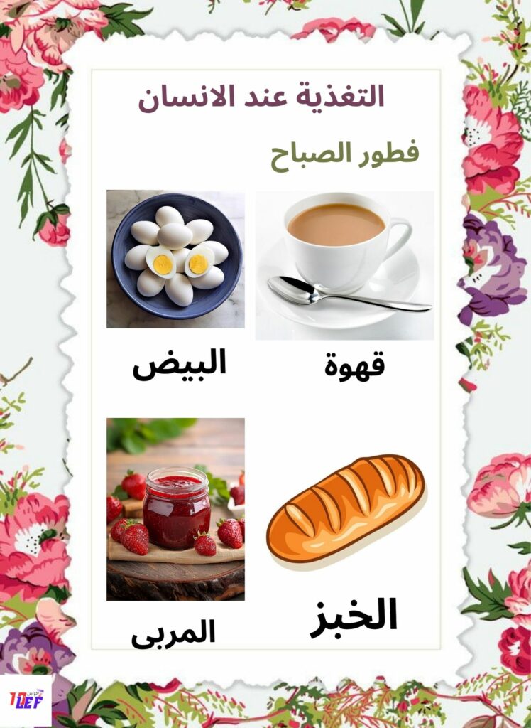 ملف حول التغذية عند الإنسان سنة ثانية