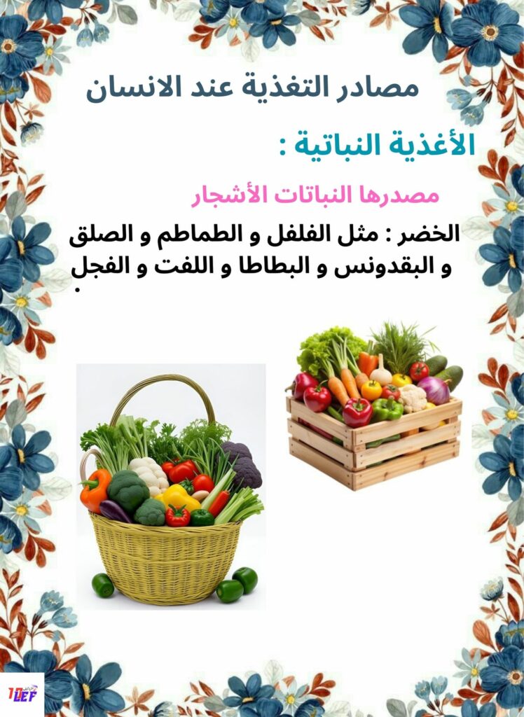 بحث حول مصادر التغذية عند الانسان سنة ثالثة