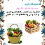 بحث حول مصادر التغذية عند الانسان سنة ثالثة