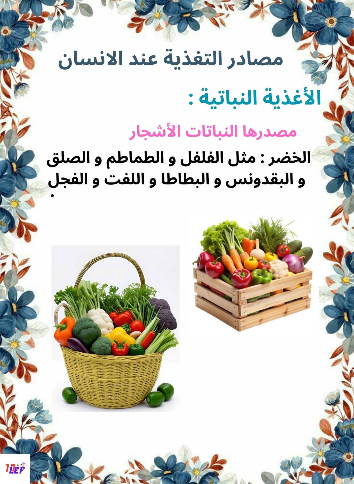 بحث حول مصادر التغذية عند الانسان سنة ثالثة