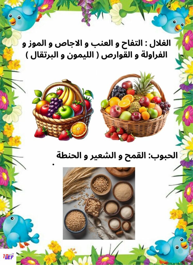 بحث حول مصادر التغذية عند الانسان سنة ثالثة