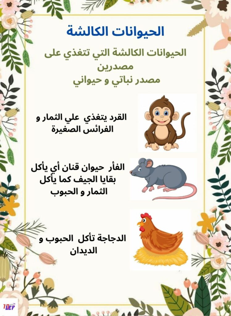 بحث حول التغذية عند الحيوان سنة أولى