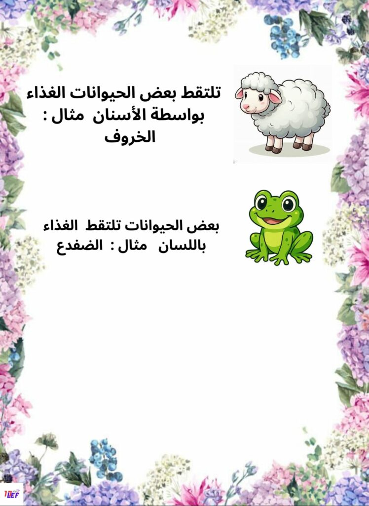 التغذية عند الحيوان سنة ثانية