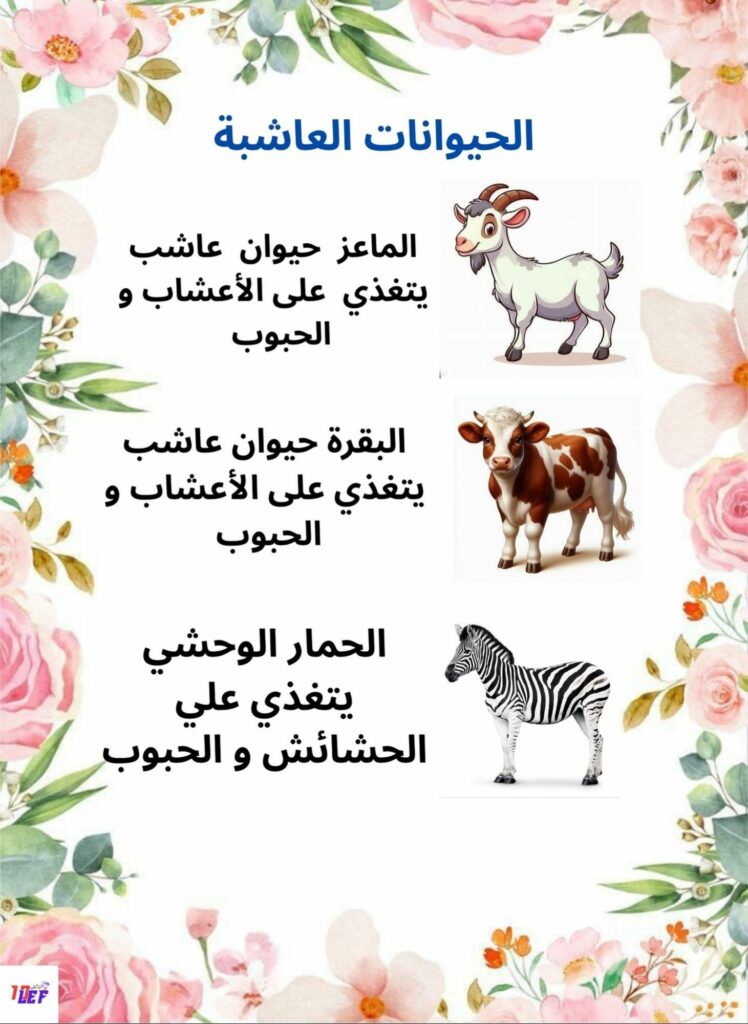 بحث حول التغذية عند الحيوان سنة أولى