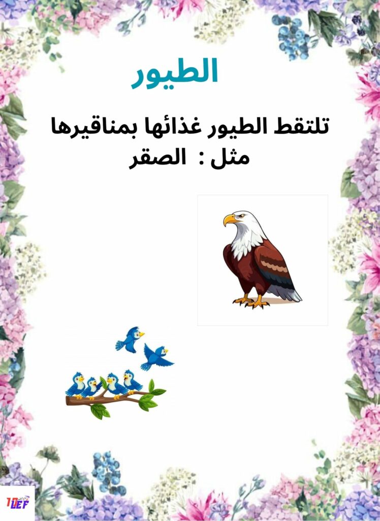 بحث حول التغذية عند الحيوان سنة ثالث