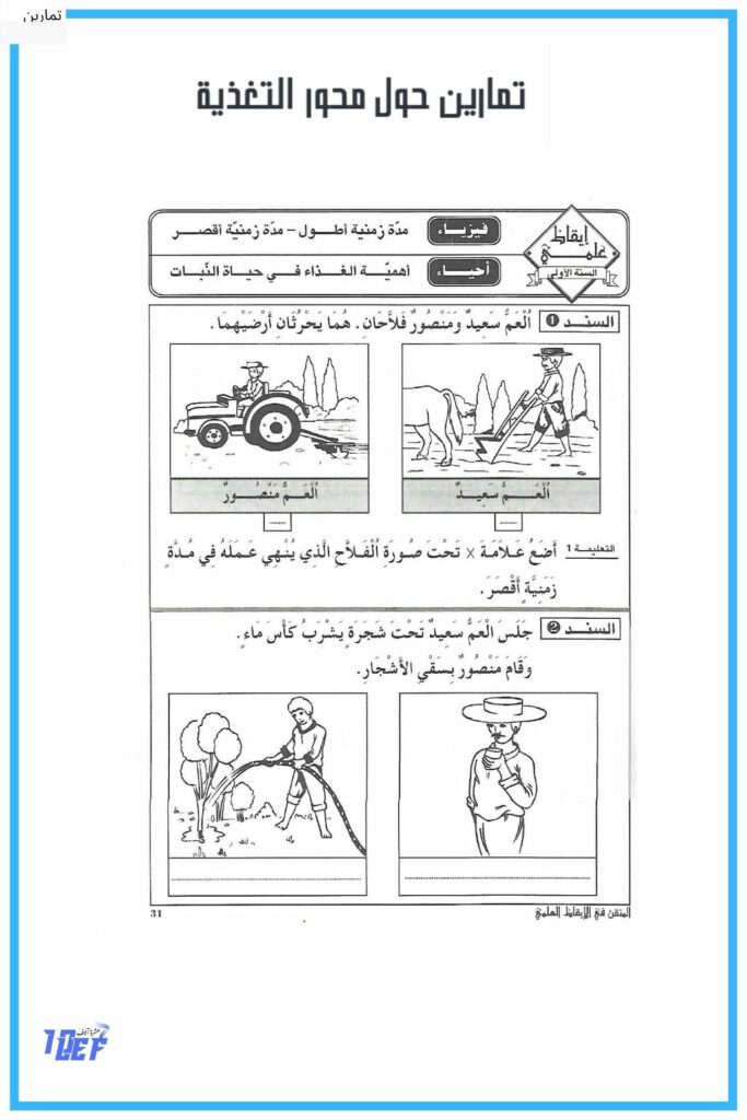تمارين التغذية عند النبات