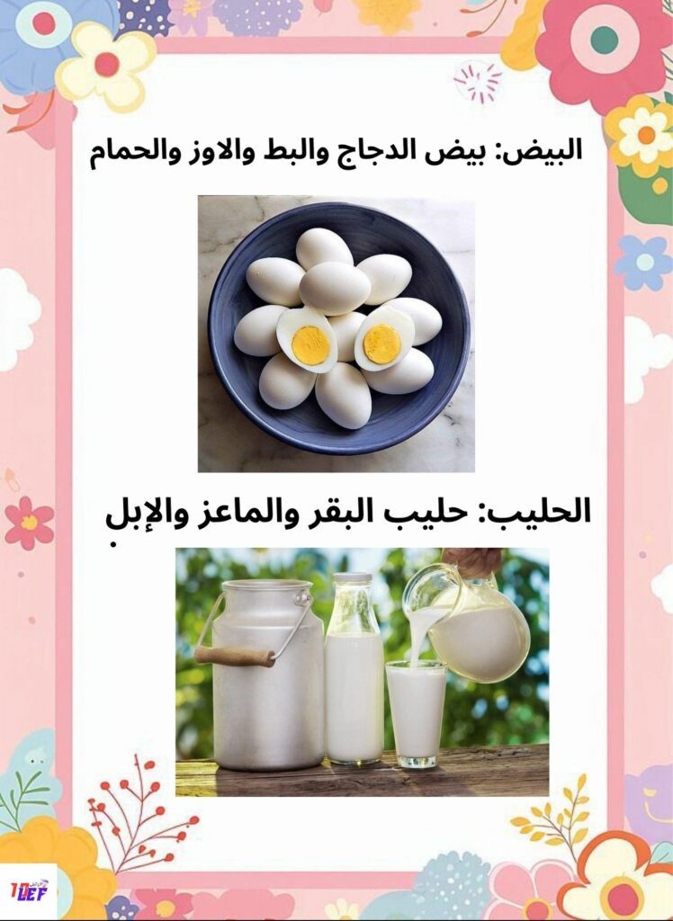 بحث حول مصادر التغذية عند الانسان سنة ثالثة