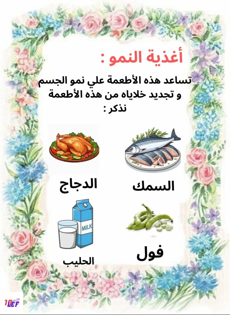 التغذية عند الانسان سنة ثالثة