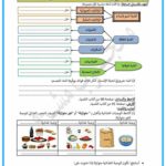 تمارين حول الوجبة الغذائية المتوازنة