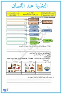 تمارين حول الوجبة الغذائية المتوازنة