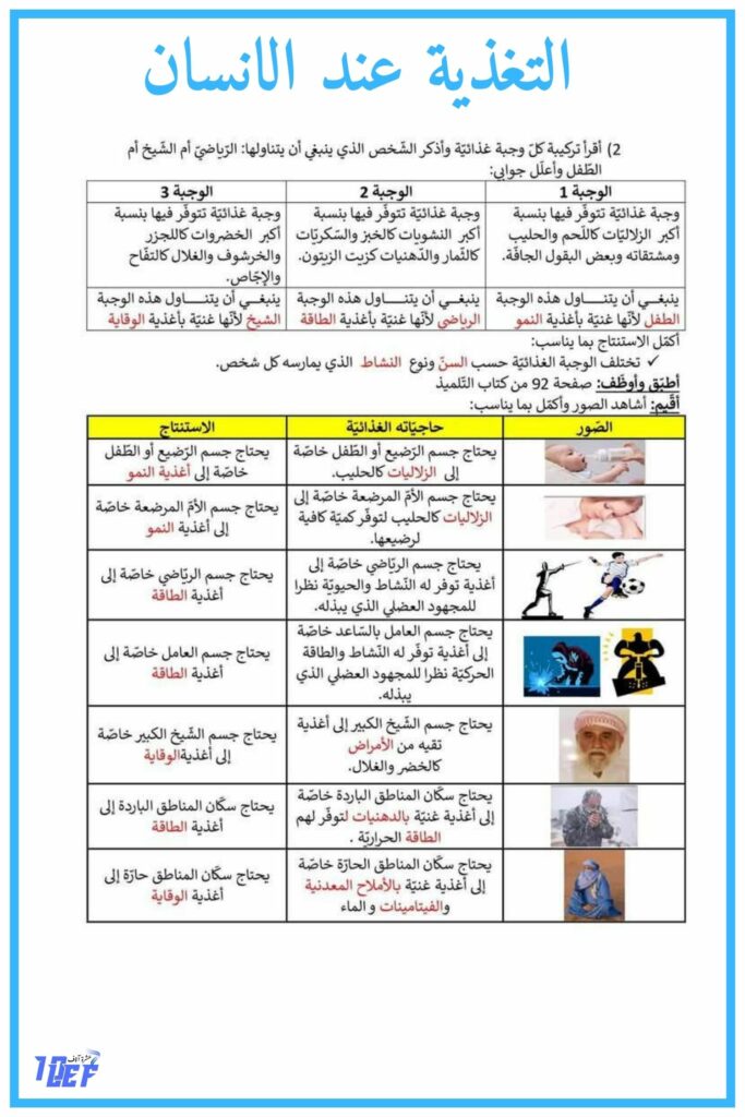 المجموعات الغذائية الأساسية