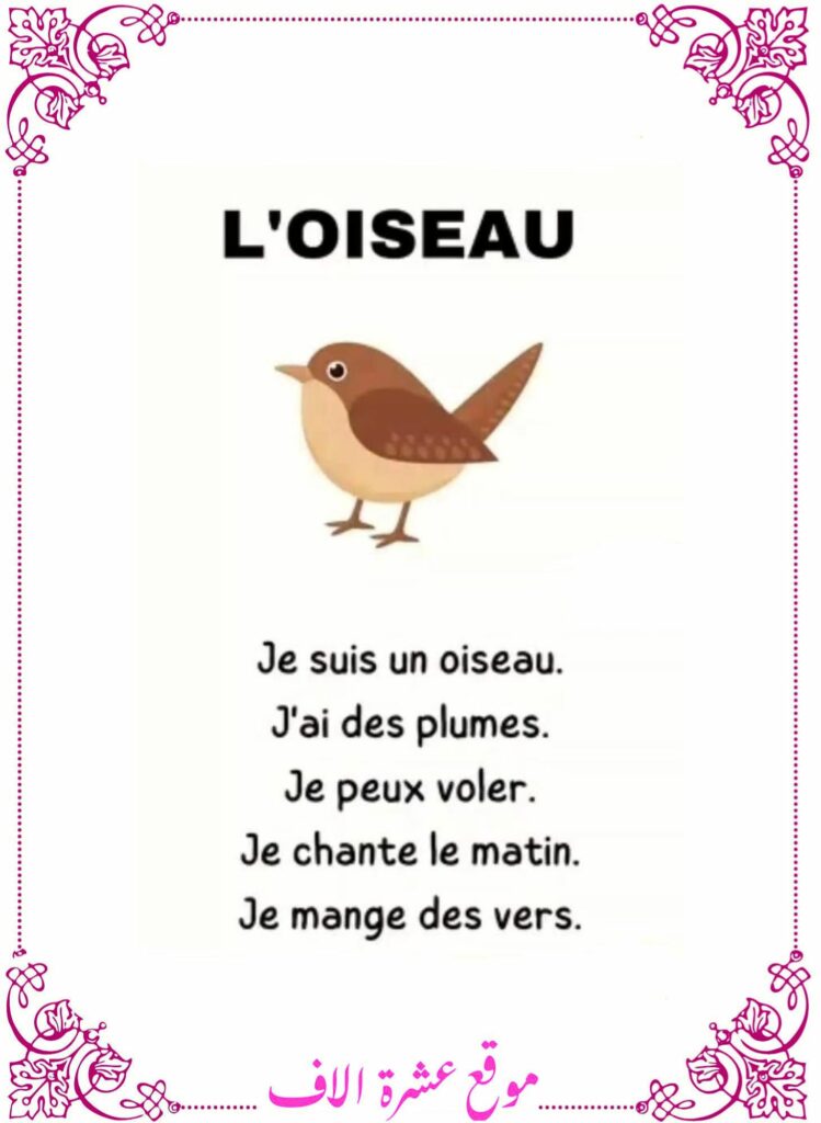 وصف عصفور بالفرنسية سنة سادسة
