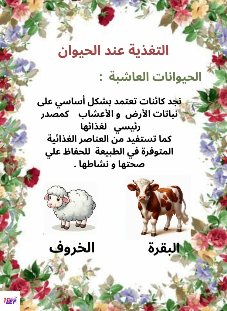 ملف حول التغذية عند الحيوان سنة أولى