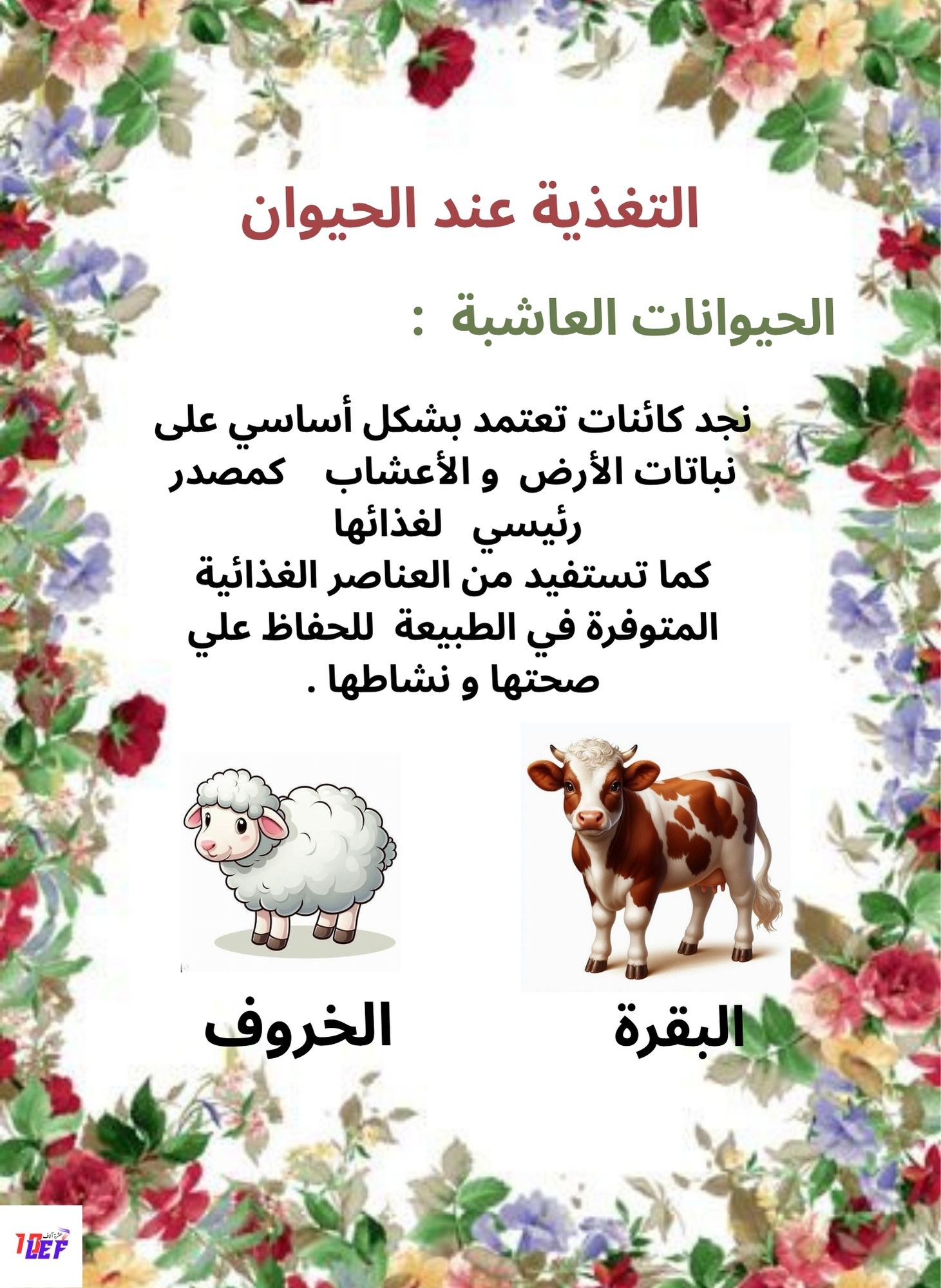 ملف حول التغذية عند الحيوان سنة أولى